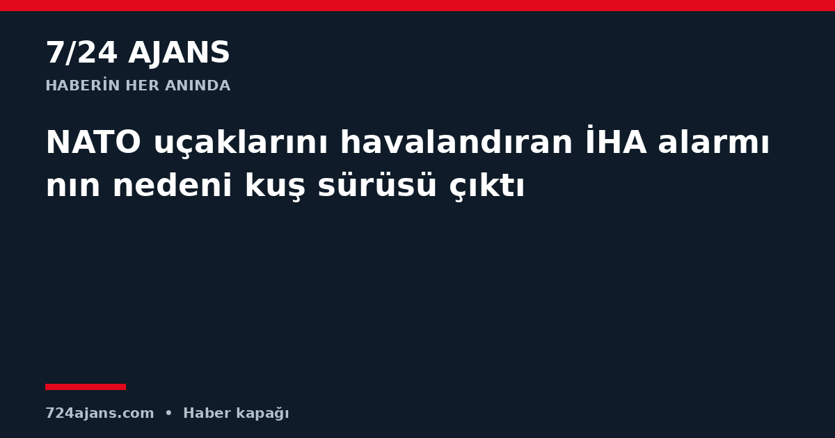 NATO uçaklarını havalandıran İHA alarmının nedeni kuş sürüsü çıktı