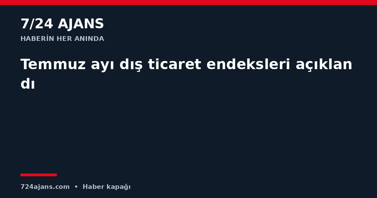 Temmuz ayı dış ticaret endeksleri açıklandı