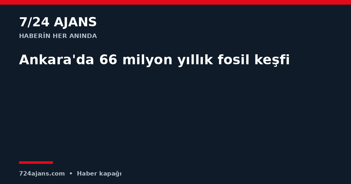 Ankara'da 66 milyon yıllık fosil keşfi