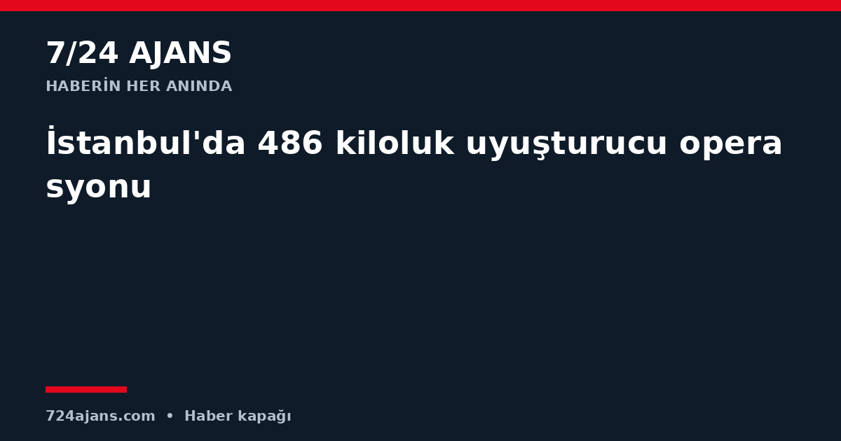 İstanbul'da 486 kiloluk uyuşturucu operasyonu